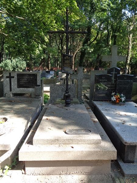 Zdjęcie grobu Aleksander Lindner (1)