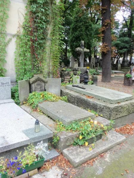 Zdjęcie grobu Henryk Leszczyński (1)
