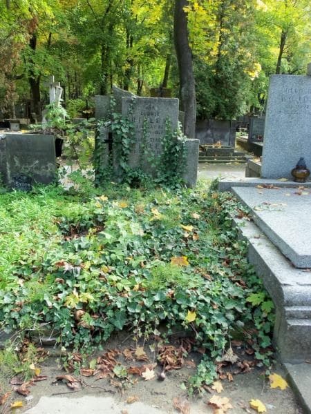 Zdjęcie grobu: Ludwik Białek
