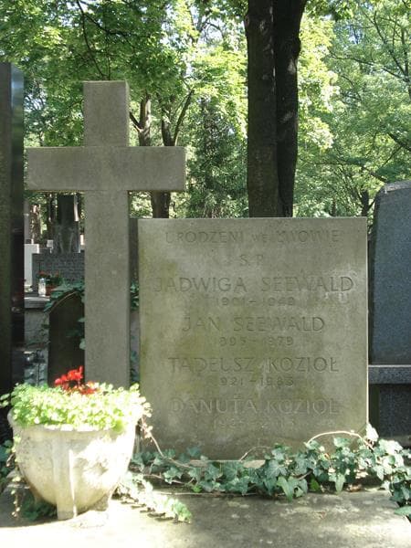 Zdjęcie grobu Danuta Kozioł (2)
