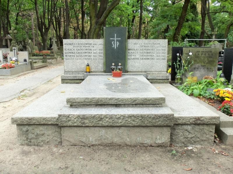 Zdjęcie grobu: Henryk Głogowski