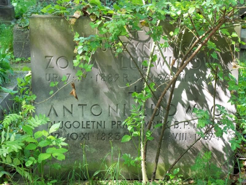 Zdjęcie grobu Zofia Ludwigowa (2)