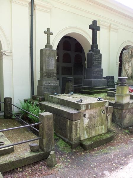 Zdjęcie grobu Edward Castellaz (1)