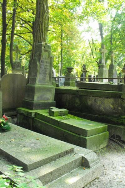 Zdjęcie grobu Kazimierz Wołowski (1)