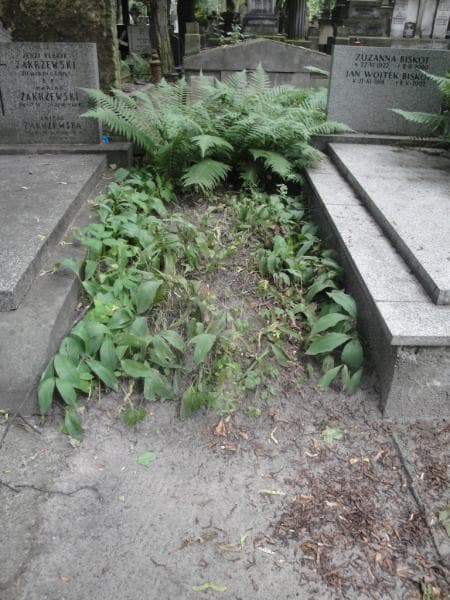Zdjęcie grobu: Zygmunt Wydźga