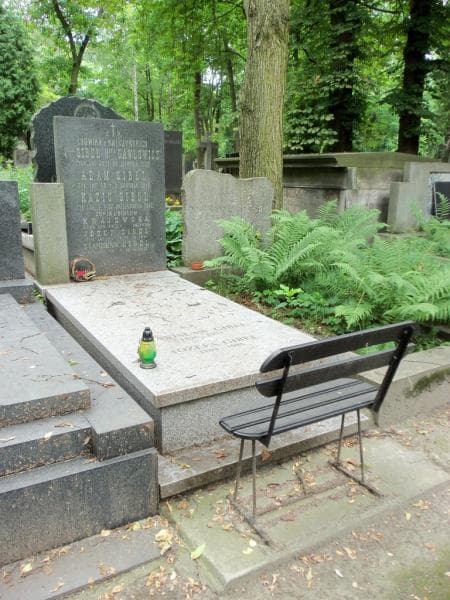 Zdjęcie grobu Zofja Krajewska (1)
