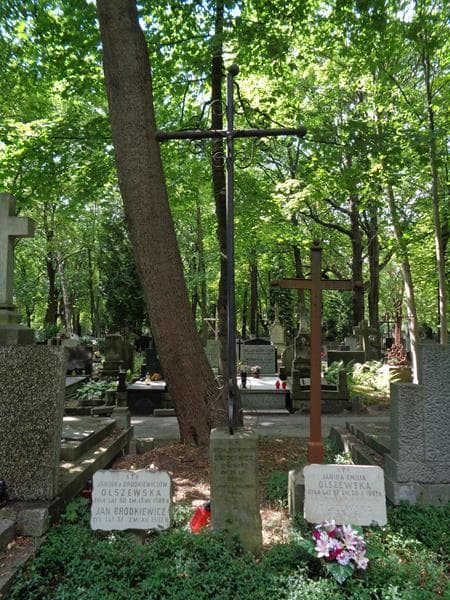 Zdjęcie grobu Jan Brodkiewicz (2)
