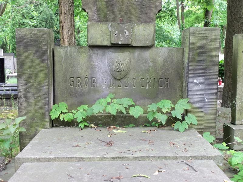 Zdjęcie grobu Zofia Brzezie-Russocka (2)