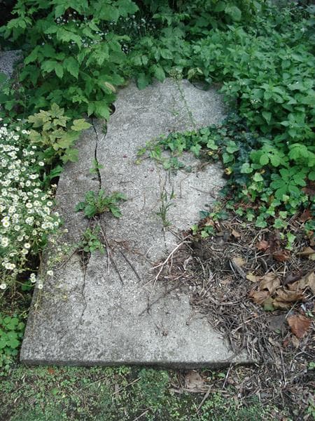 Zdjęcie grobu Józefa Denys (2)