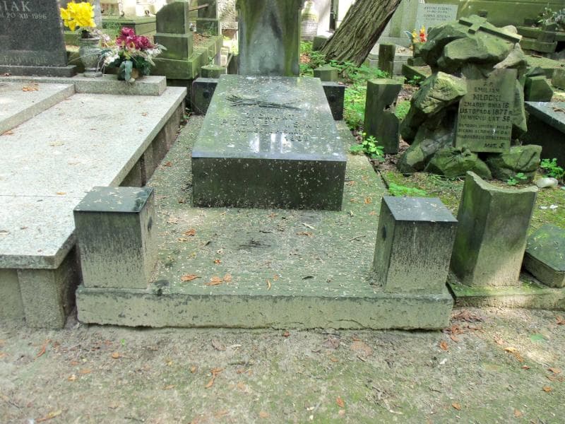 Zdjęcie grobu: Zygmunt Przybylski