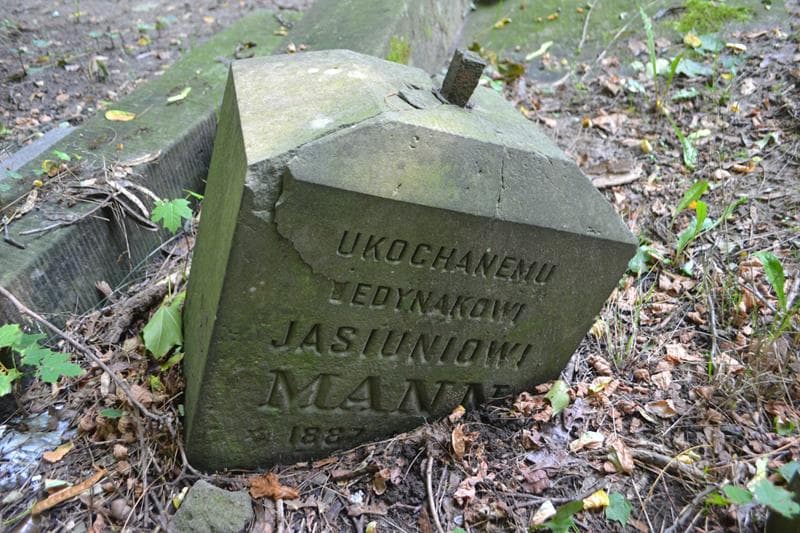 Zdjęcie grobu Anonim / Jasiunio Mann (2)