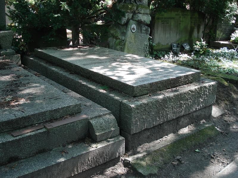 Zdjęcie grobu Aleksander Boleszczyc - Kozłowski (1)