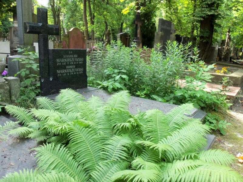 Zdjęcie grobu Roman Markuszewski (1)