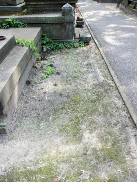Zdjęcie grobu: Pole Grobowe