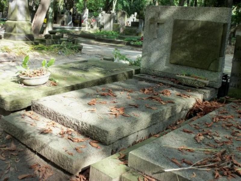 Zdjęcie grobu Janina Tyczyńska (1)