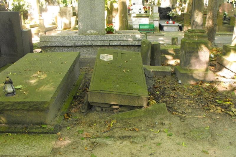Zdjęcie grobu Maria Brudzińska (1)