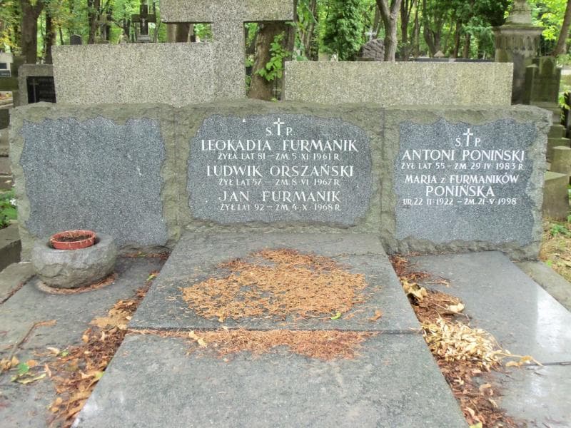 Zdjęcie grobu Antoni Poniński (2)