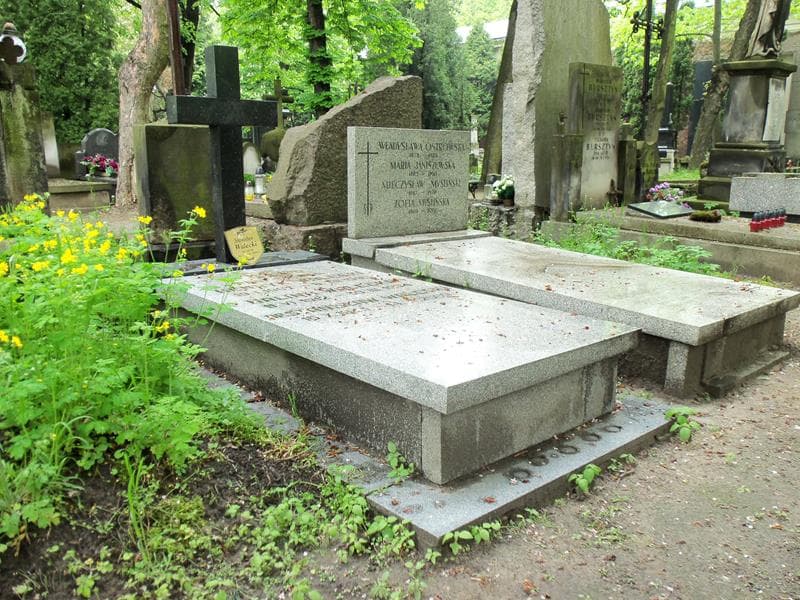 Zdjęcie grobu Henryk Walecki (1)