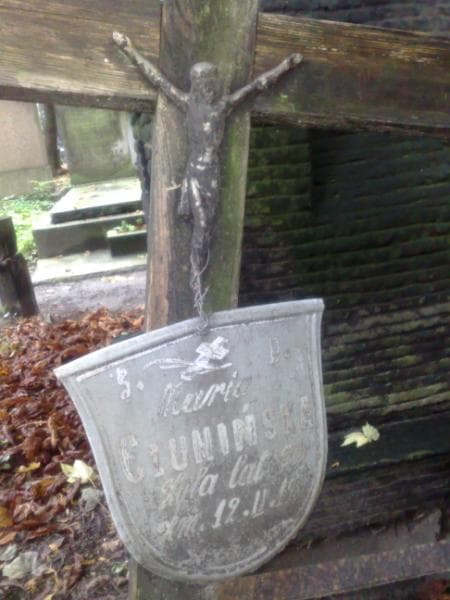 Zdjęcie grobu Maria Czumińska (2)