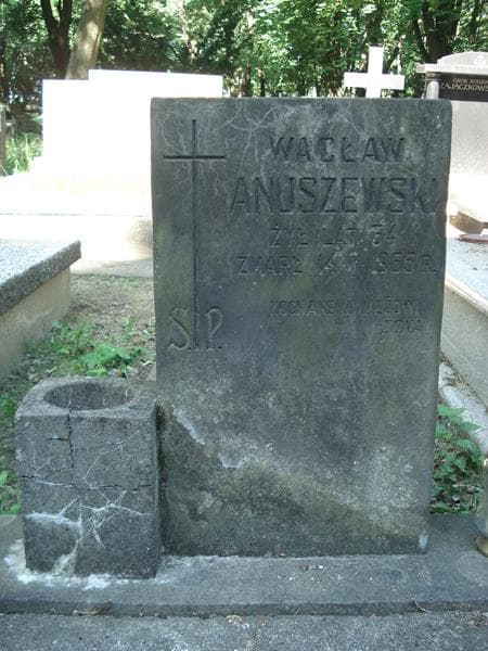 Zdjęcie grobu Wacław Anuszewski (1)