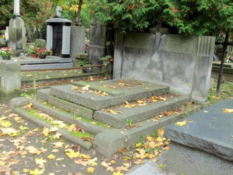 Zdjęcie grobu Otton Czeczott (1)