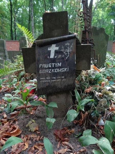 Zdjęcie grobu Faustyn Gorzkowski (2)