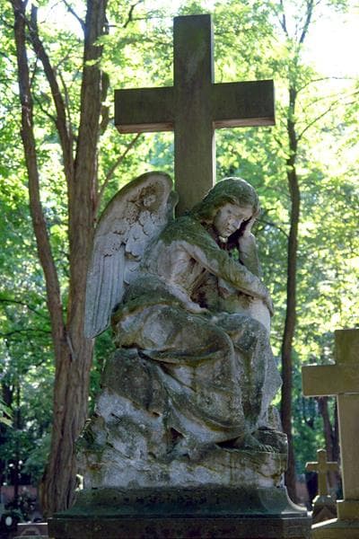 Zdjęcie grobu Franciszek Nałęcz (2)