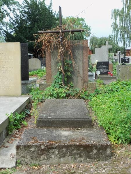 Zdjęcie grobu: Jan Peter