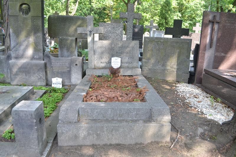 Zdjęcie grobu Franciszek Brzozowski (1)