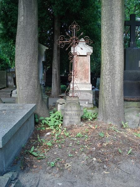 Zdjęcie grobu Helena Abczyńska (1)