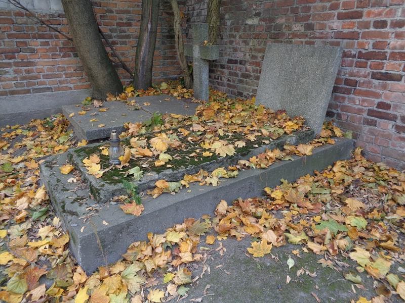 Zdjęcie grobu: Tadeusz Niesiołowski
