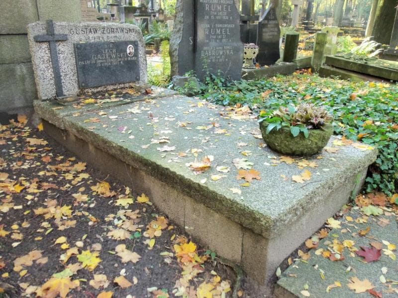 Zdjęcie grobu Gustaw Żórawski (1)