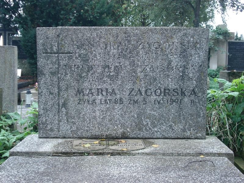 Zdjęcie grobu Henryka Zagórska (2)