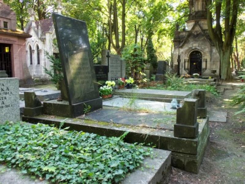 Zdjęcie grobu Aleksander Wasilewski (1)