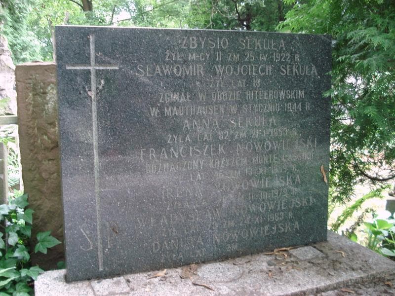 Zdjęcie grobu Franciszek Nowowiejski (2)
