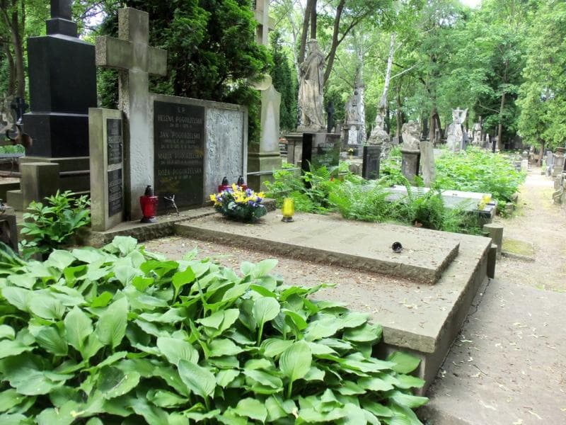 Zdjęcie grobu Teresa Pogorzelska (1)