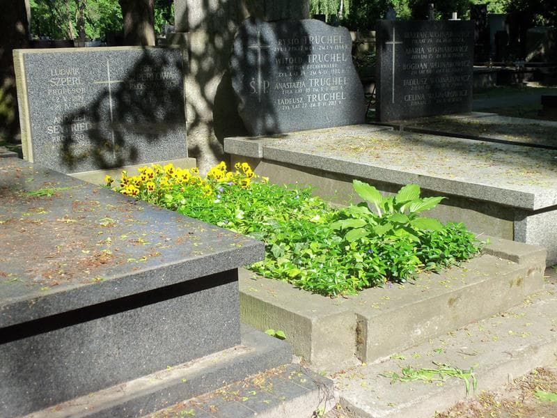 Zdjęcie grobu Andrzej Seyfried (1)