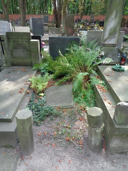 Zdjęcie grobu: Maria Scholtz