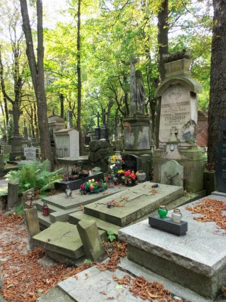 Zdjęcie grobu Bronisław Roszewski (1)