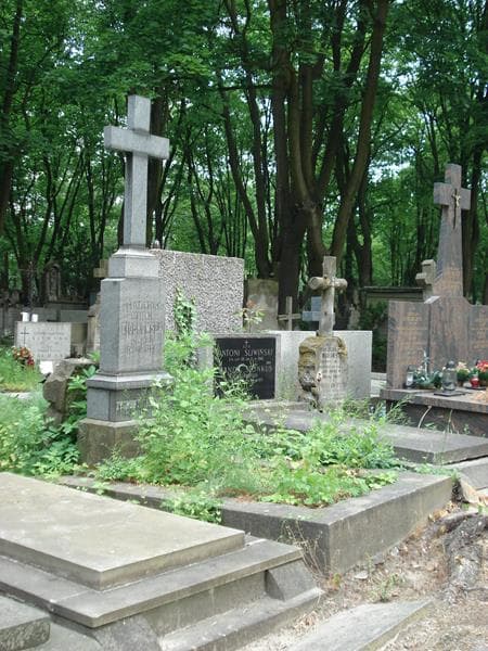 Zdjęcie grobu Józef Drzewiecki (1)