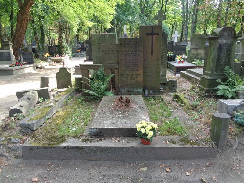 Zdjęcie grobu Wiktor Nowakowski (1)