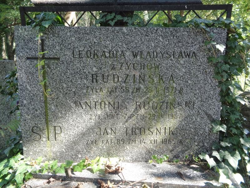 Zdjęcie grobu Antoni Rudziński (2)