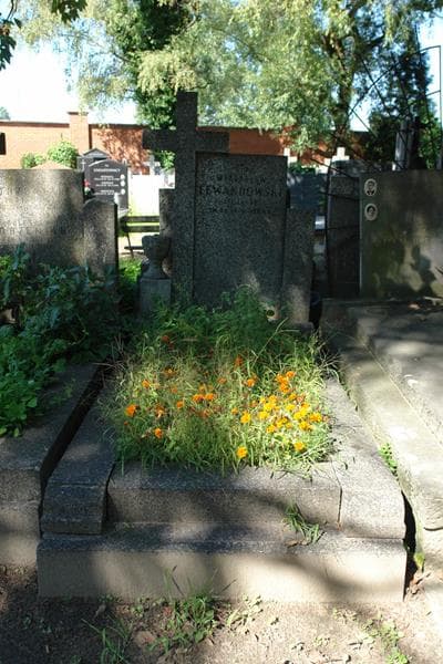 Zdjęcie grobu Władysław Lewandowski (1)