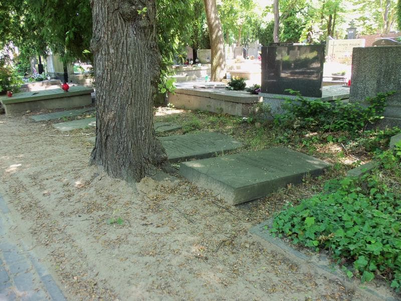 Zdjęcie grobu Maria De Makay (2)