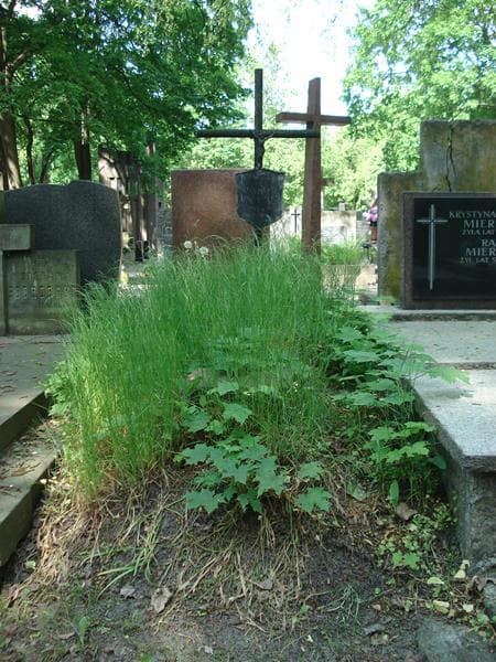 Zdjęcie grobu: Stanisław Knabe