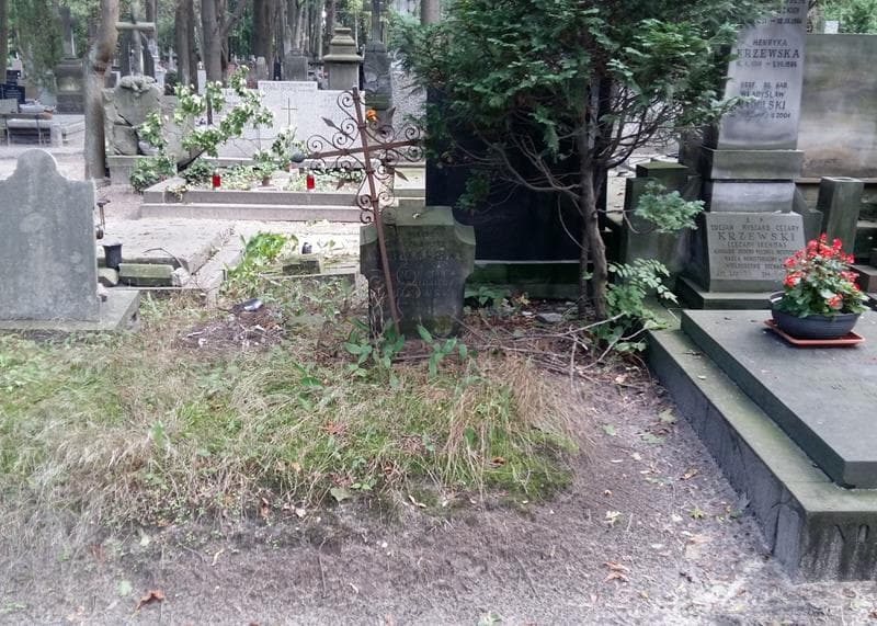 Zdjęcie grobu Wiktorja Jabłkowska (1)
