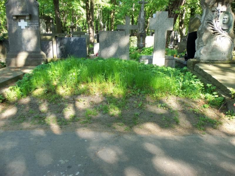 Zdjęcie grobu: Pole Grobowe