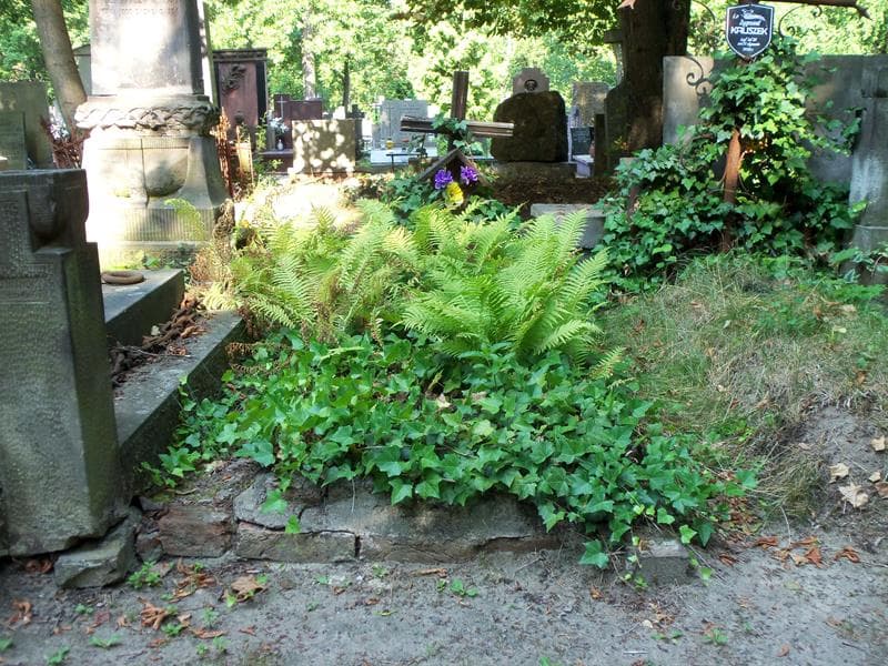 Zdjęcie grobu: Michaś Rożnowski
