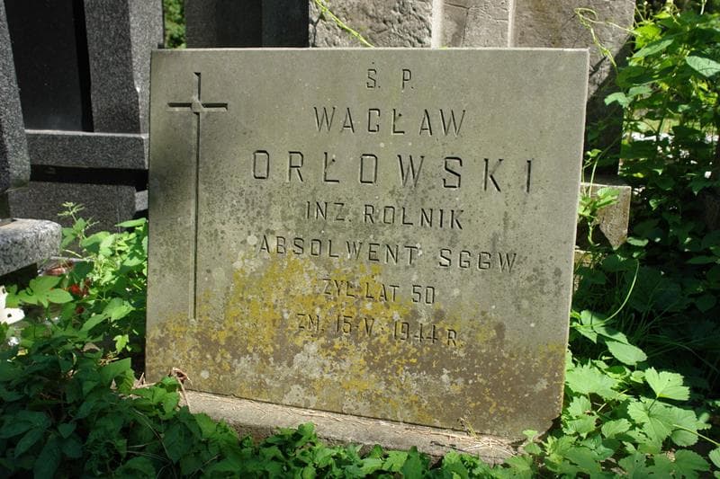 Zdjęcie grobu Wacław Orłowski (2)