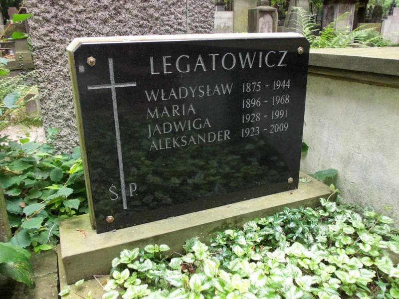 Zdjęcie grobu Aleksander Legatowicz (2)
